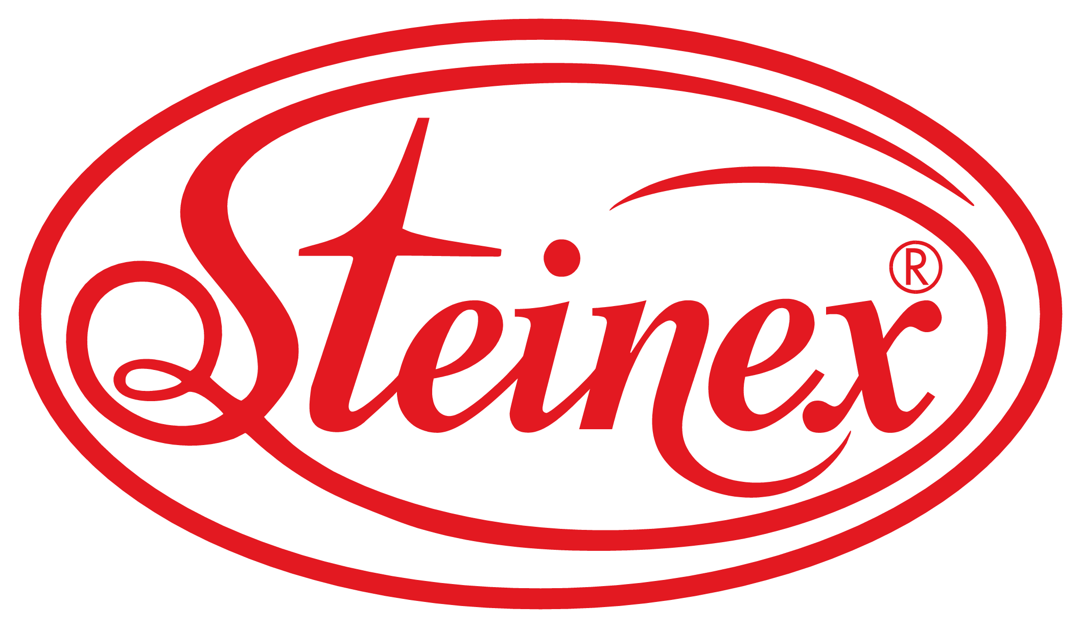 STEINEX a.s. logo.png