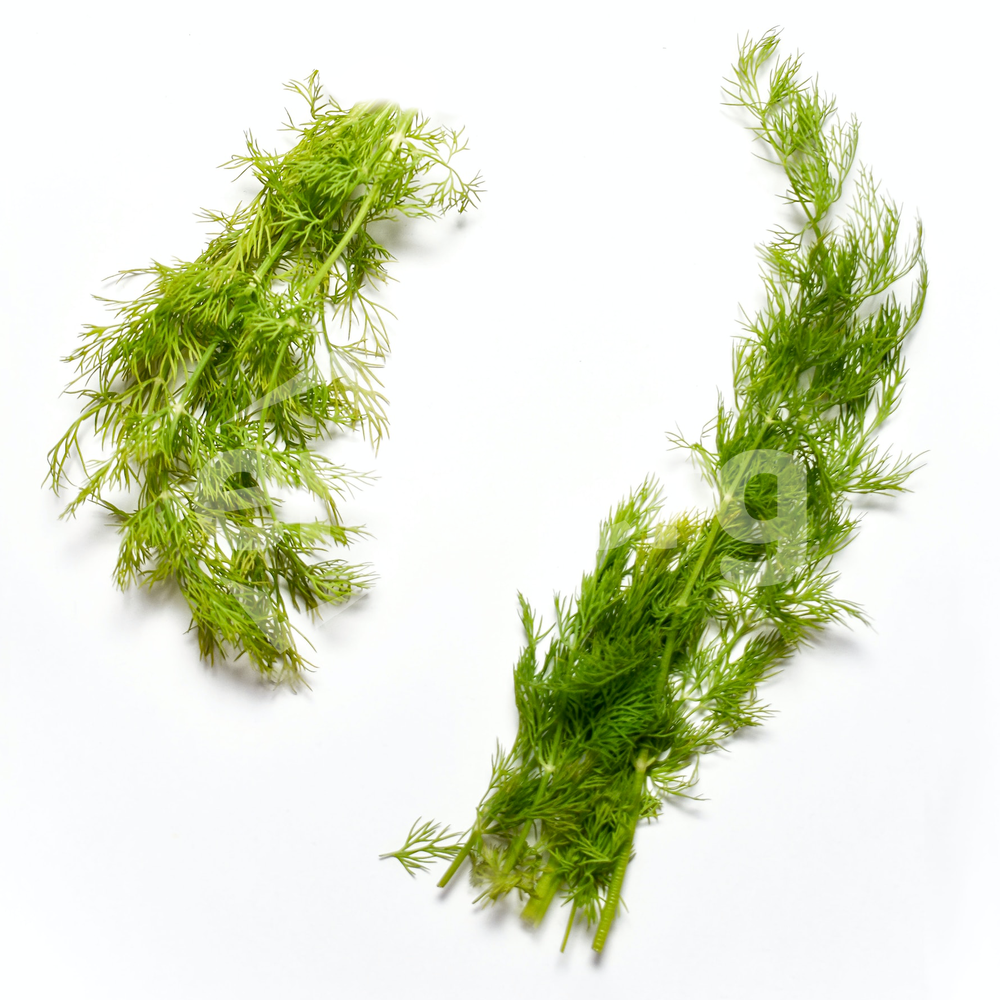 Kopr sekaný mražený