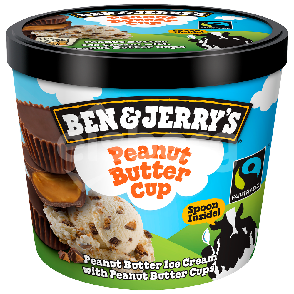 Peanut Butter Cups 100ml Ben and Jerry´s