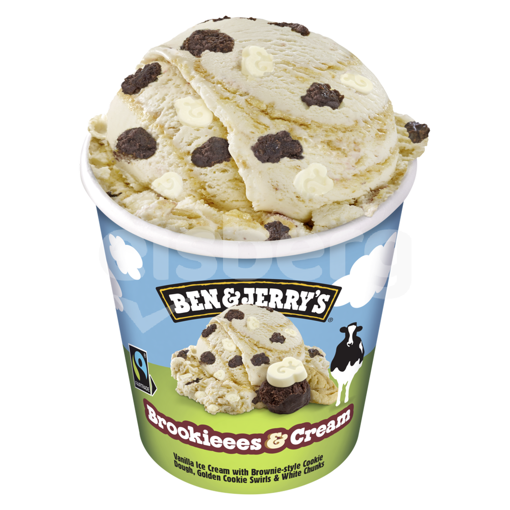 B&J 465ml Brookieees&Cream