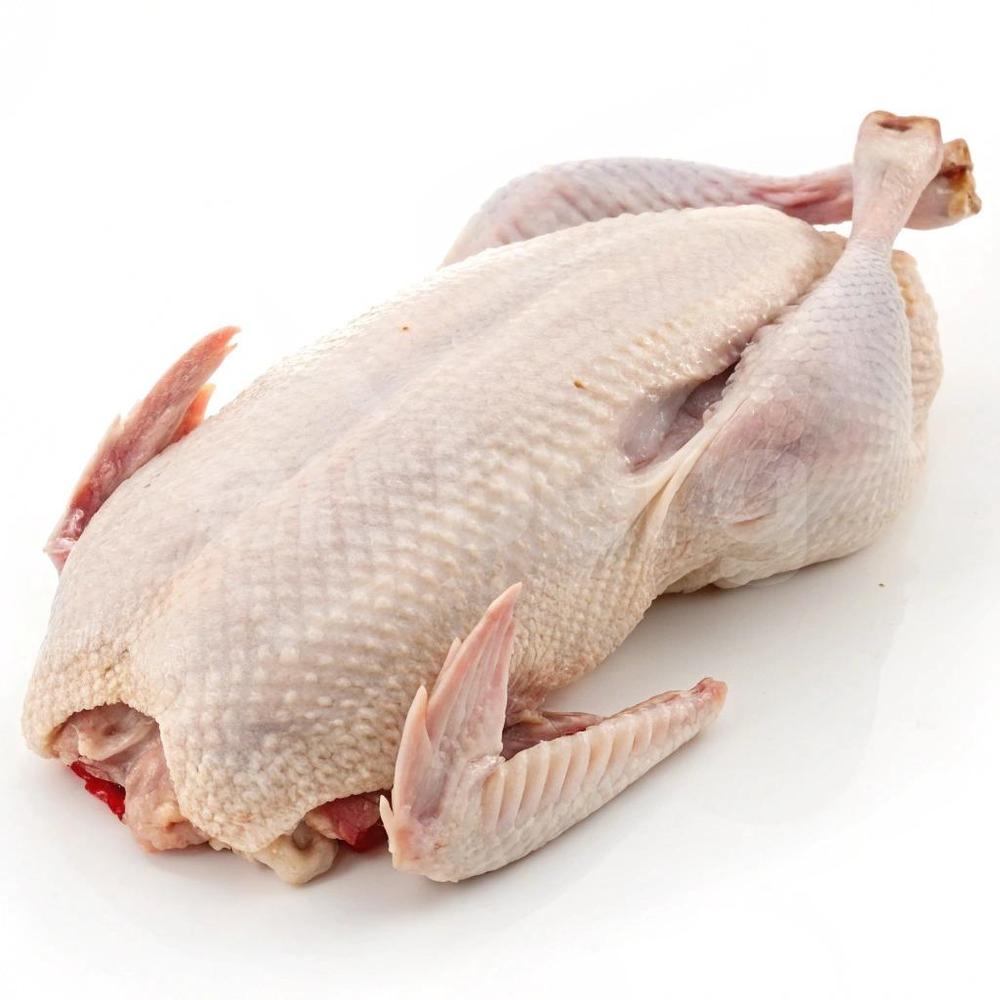 Kachna chovná "B" nekalibrovaná bez drobů