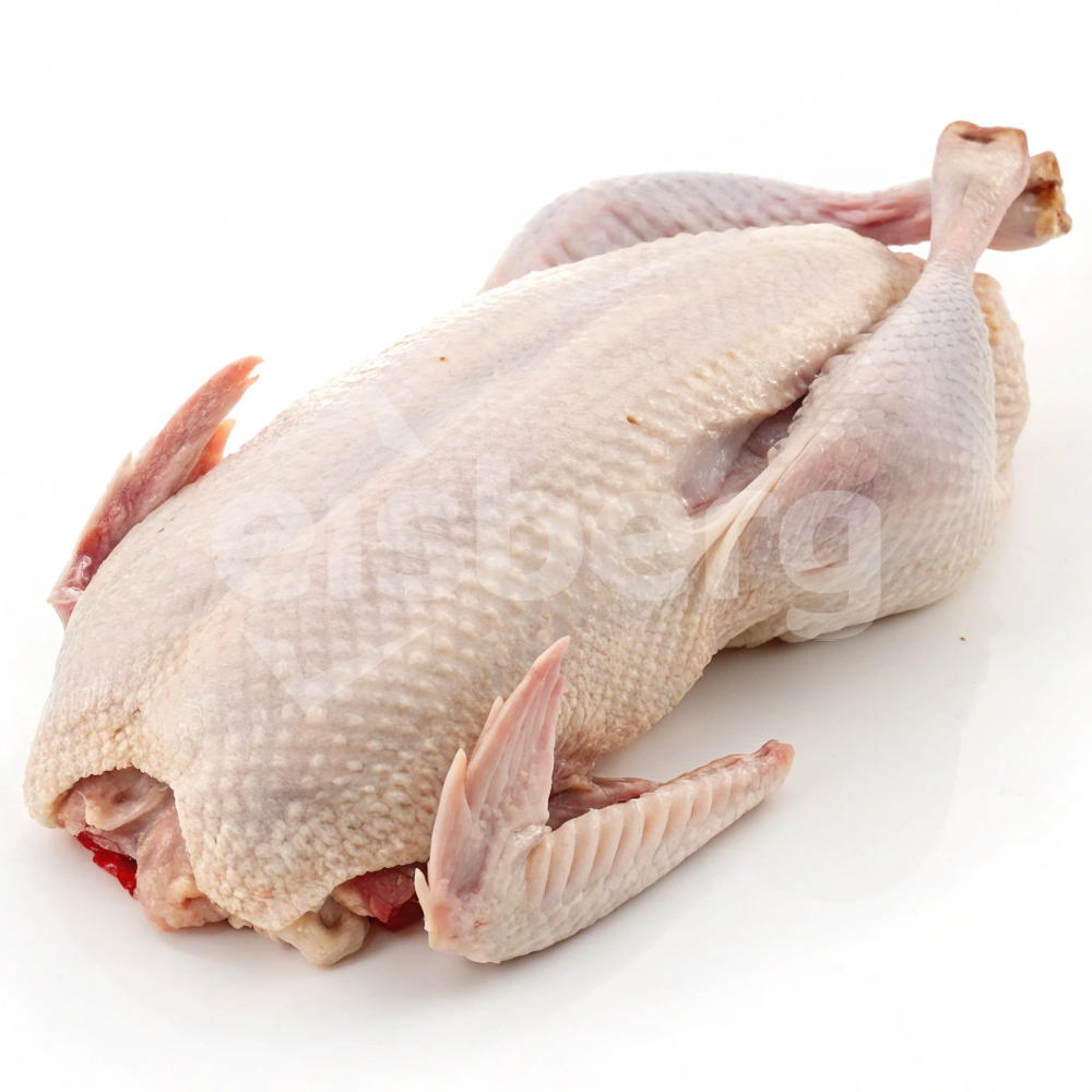 Kachna bez drobů 1.tř. 1,90kg