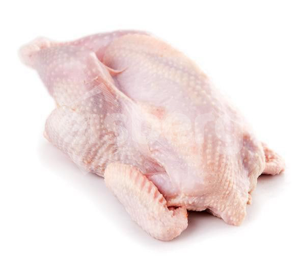 Slepice 1.tř. 1,20kg CZ