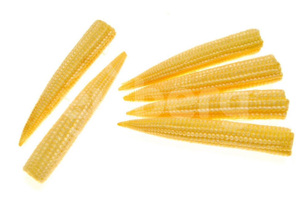 Mini kukuřičky ARDO